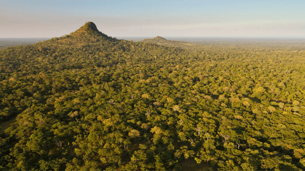 GORONGOSA NATIONAL PARK