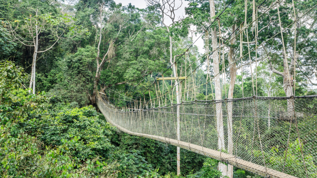 SNS Kakum National Park