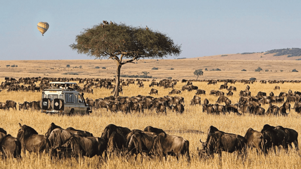 SNS MAASAI MARA NATIONAL RESERVE 