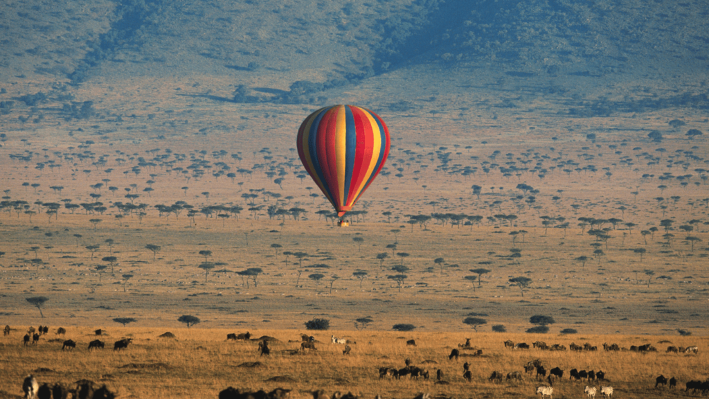 SNS HOT AIR BALLOON SAFARI 