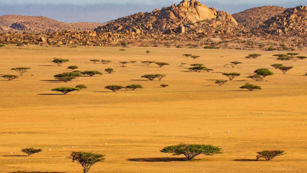 SNS NAMIBE DESERT 