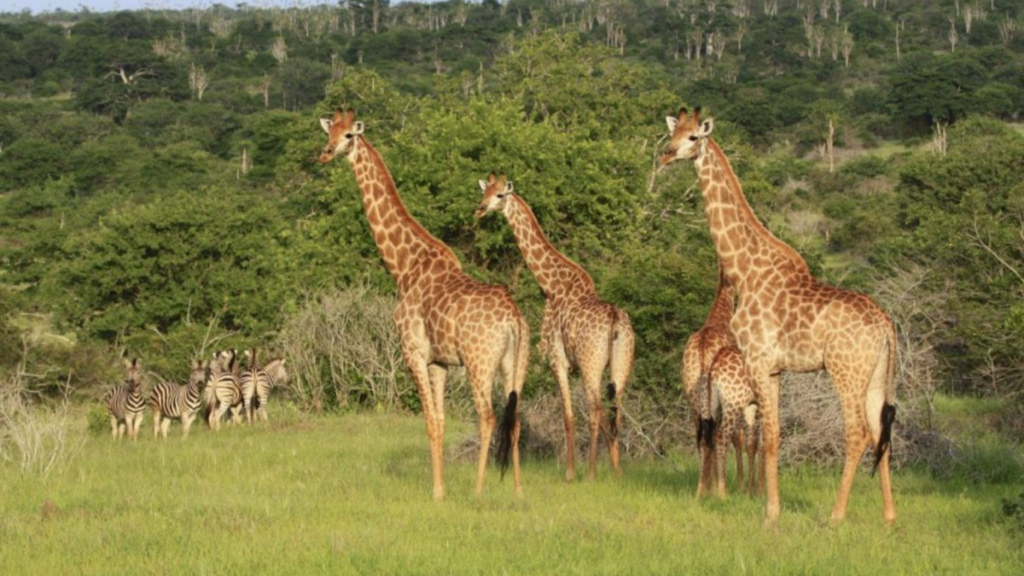 SNS MUPA NATIONAL PARK