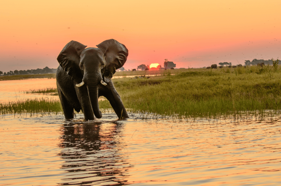 BOTSWANA