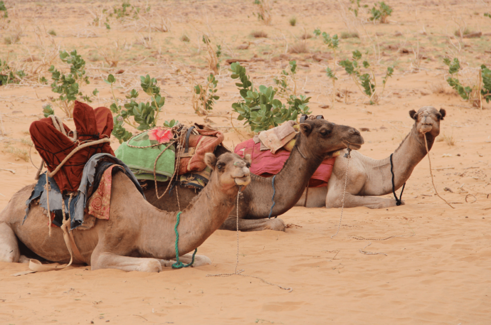 MAURITANIA