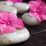 SNS BENEFIT OF WELLNESS